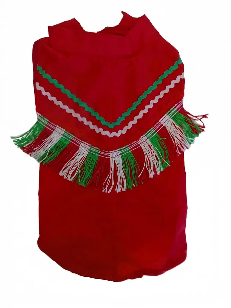 019 - Prenda Patriótica 9
